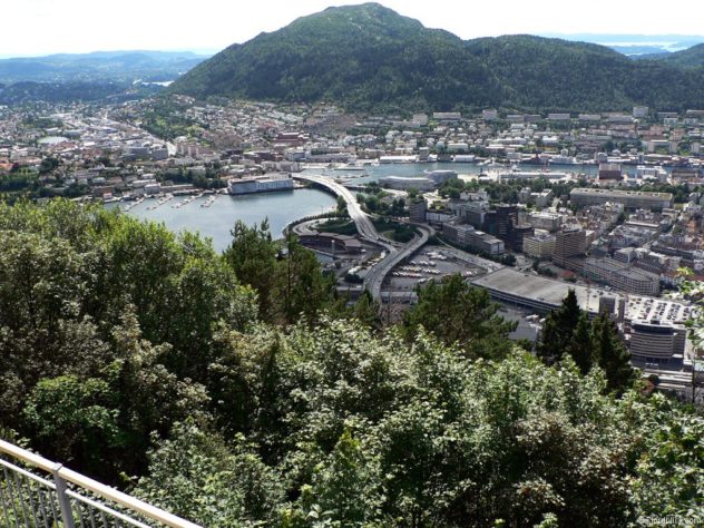 Fløyen